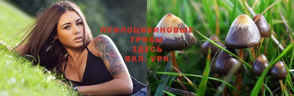 наркотики Алексин